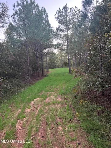 $390,000 | 201 Holt Potts Camp, Potts Camp, MS 38659