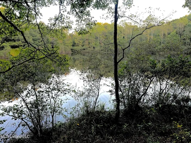 $390,000 | 201 Holt Potts Camp, Potts Camp, MS 38659