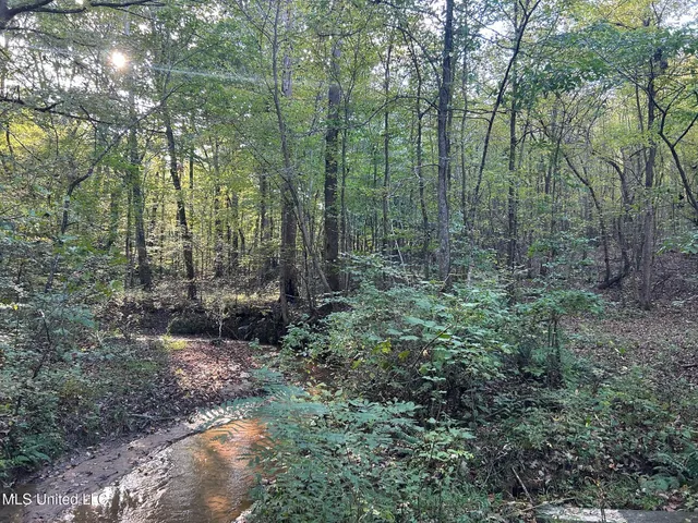 $390,000 | 201 Holt Potts Camp, Potts Camp, MS 38659