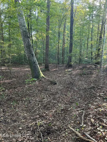 $390,000 | 201 Holt Potts Camp, Potts Camp, MS 38659