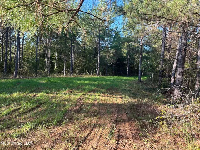 $390,000 | 201 Holt Potts Camp, Potts Camp, MS 38659