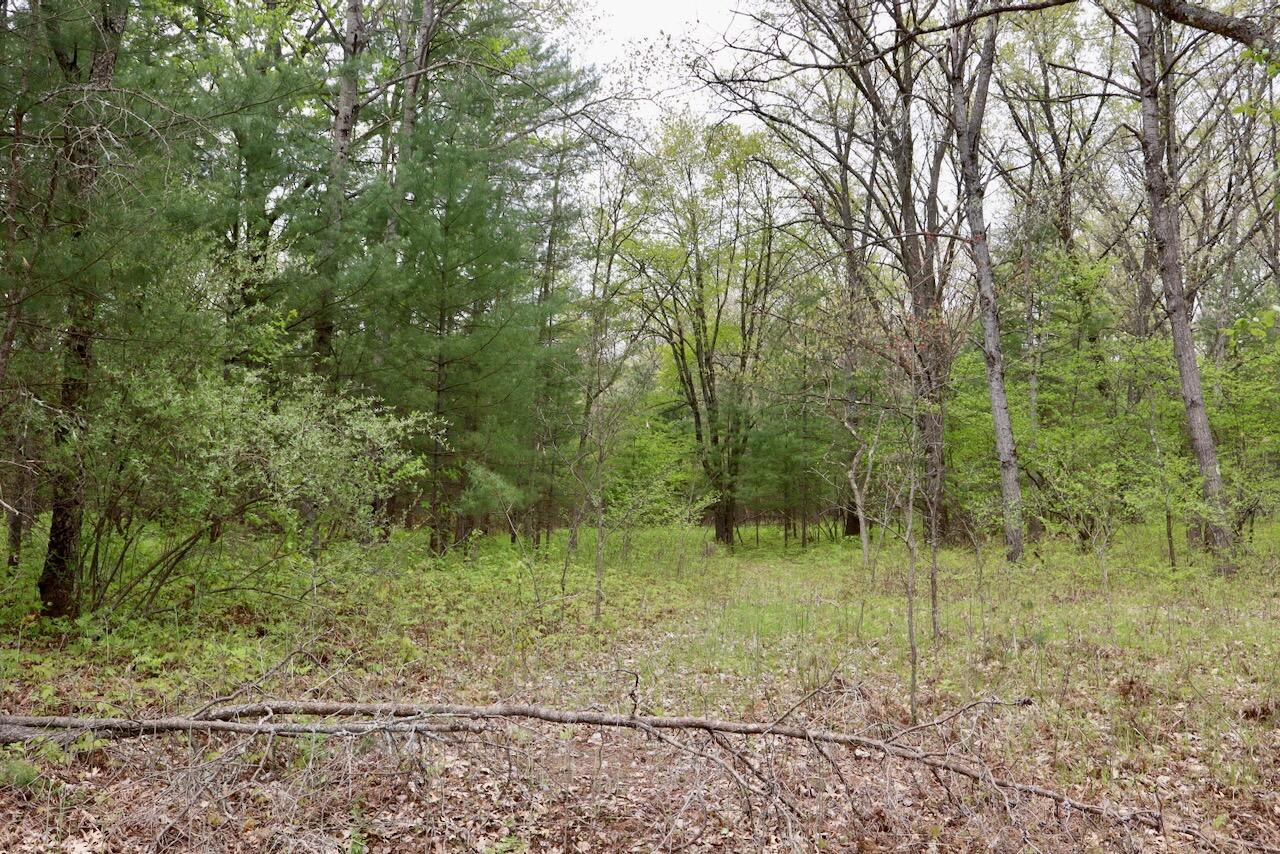 6153 South Branch Road Branch, MI 49402 - Photo 55 of 70 48