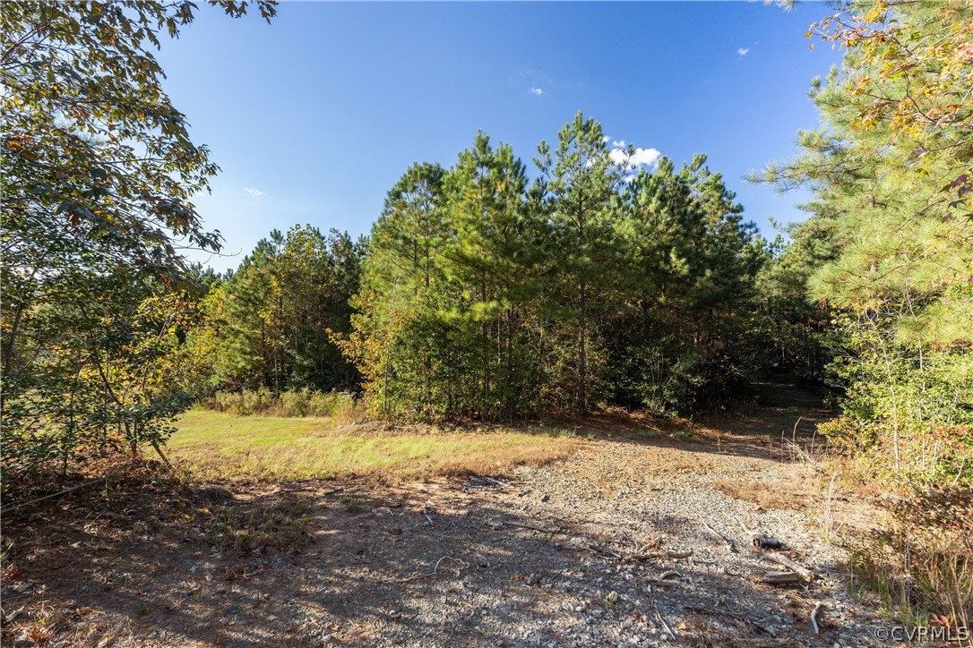 8967 Rock Cedar Road New Kent, VA 23124 - Photo 26 of 28 Gallery Image 26