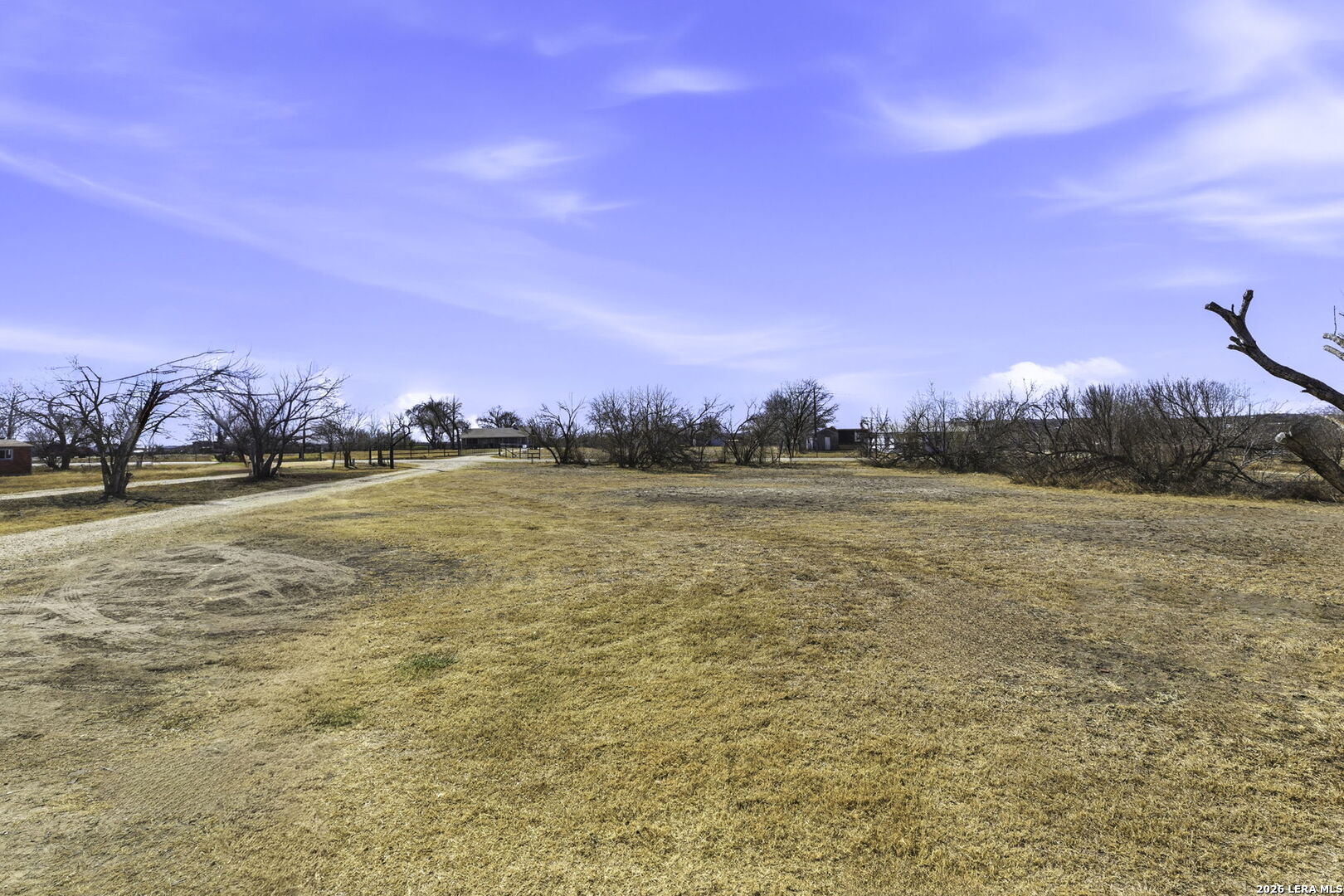 393 West County Road 5719 Devine, TX 78016 - Photo 4 of 26