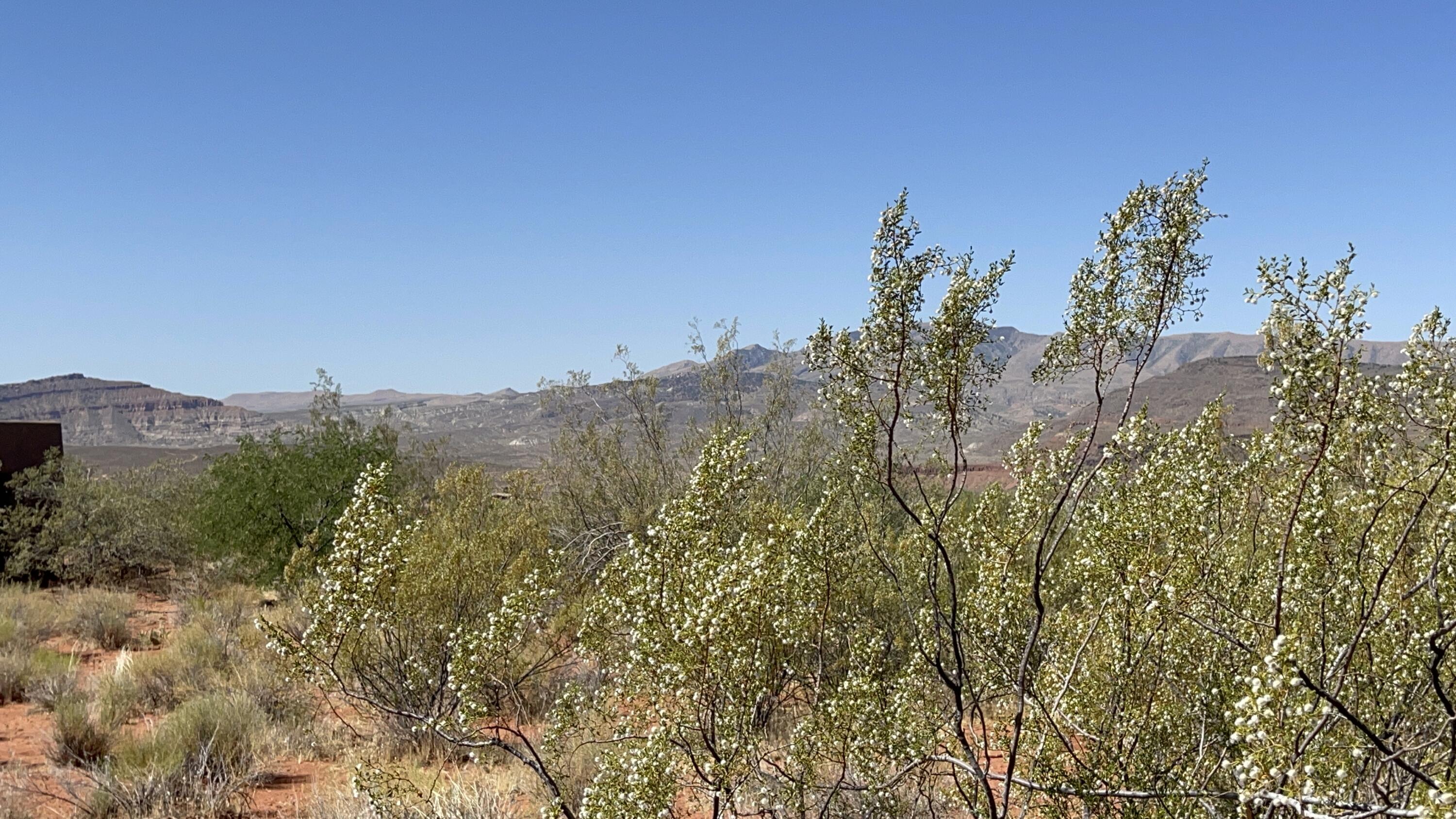 Tbd Mallow Way, Unit 150 Ivins, UT 84738 - Photo 8 of 8 South West