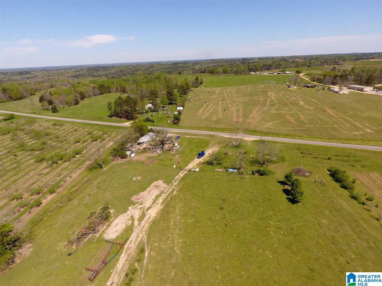 0 County Road 30, Unit 1 Clanton, AL 35045 - Photo 31 of 32