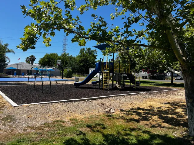 a view of a park with large trees