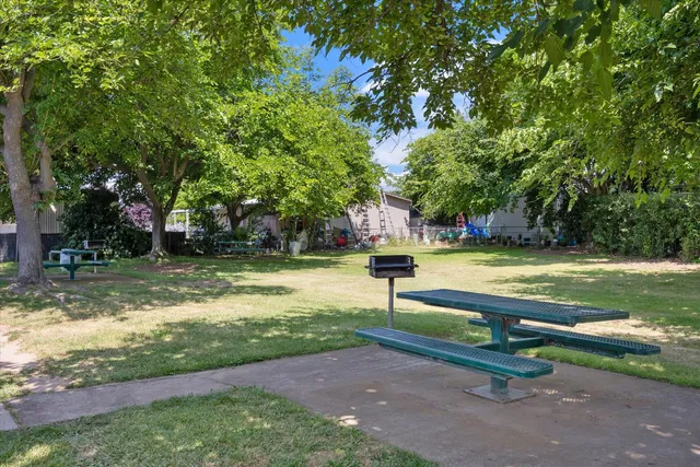 a view of a park with swings