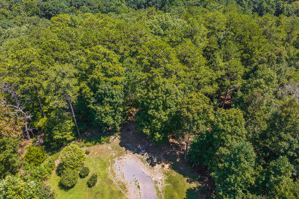 694-695 Railey Ridge Ranger, GA 30734 - Photo 5 of 17 Gallery Image 5