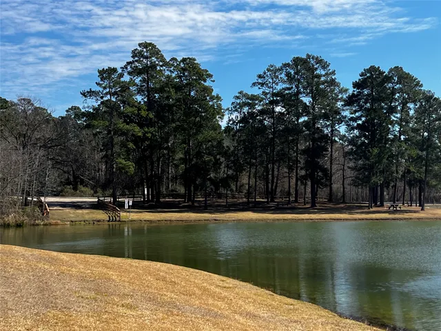$300,000 | 2340 La Salle Woods, Unit WOODS, Conroe, TX 77304