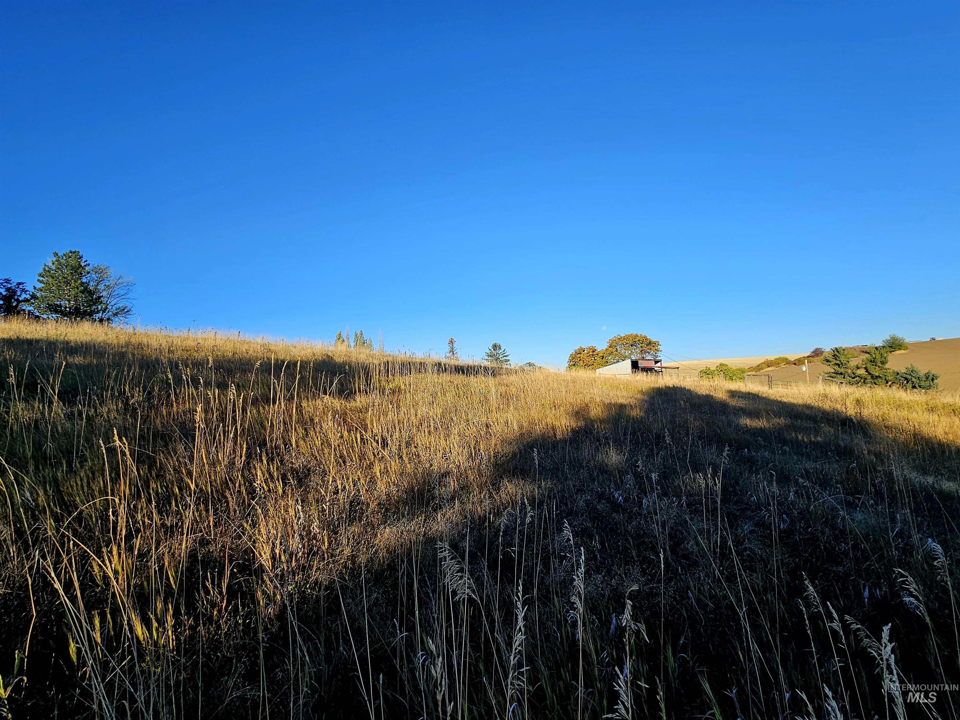 33818 N Road Kendrick, ID 83537 - Photo 45 of 47