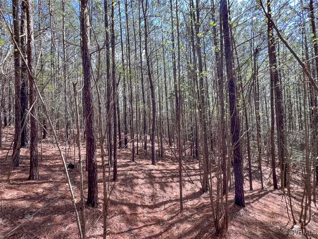 a view of outdoor space with deck and tree