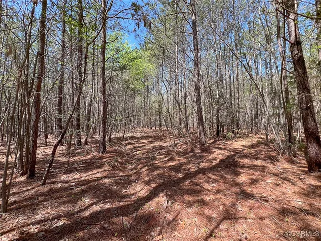 a view of outdoor space with trees