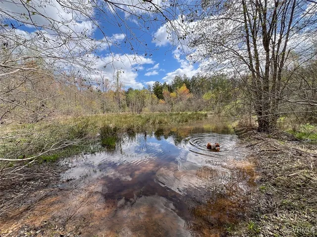 a view of a backyard of the house
