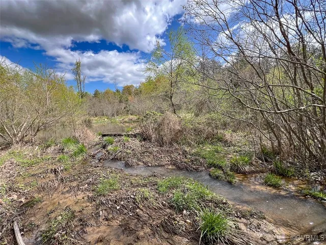 a view of a yard with a tree