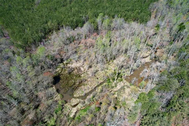 a view of a forest with lots of trees