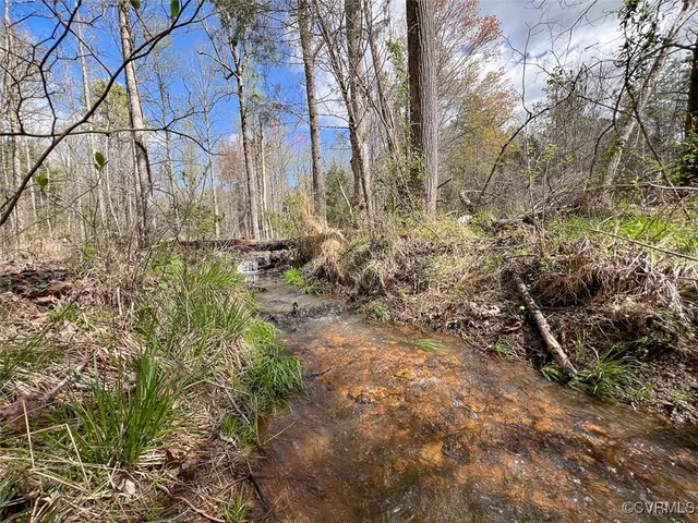 a view of a yard with plants and trees