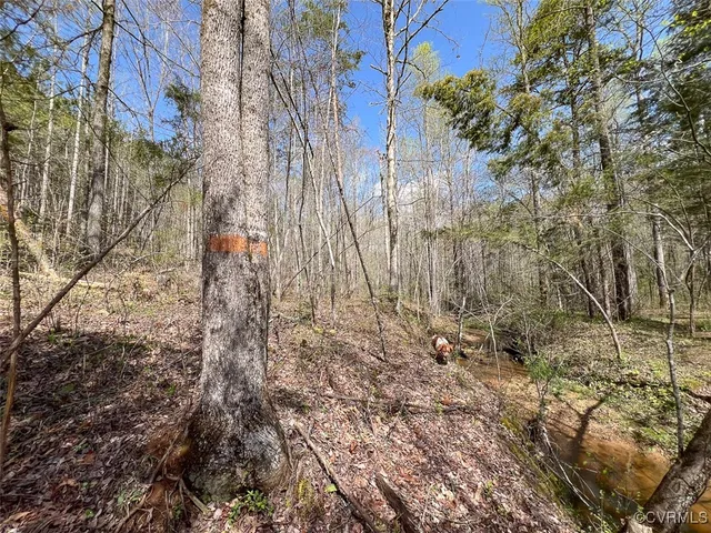 a view of a yard with trees