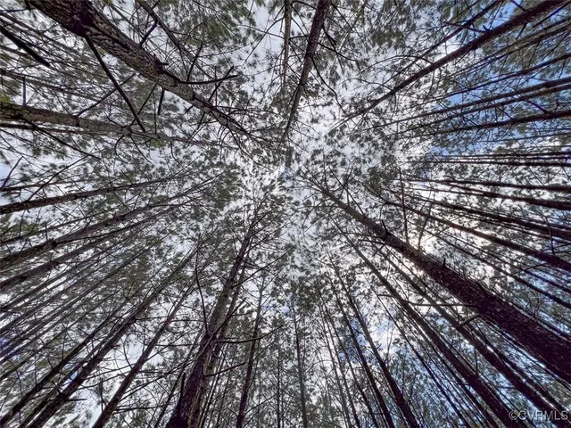 a view of an ocean and beach