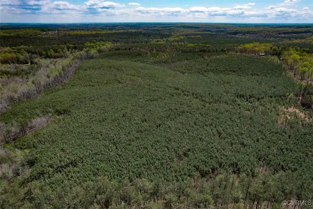 a view of an ocean from a yard