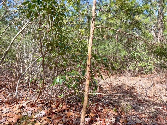 a view of lake with mountain