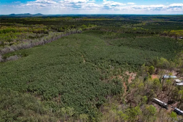 a view of an ocean from a yard