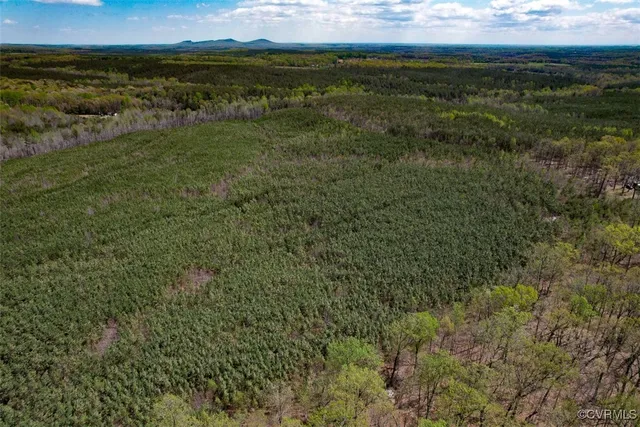 a view of a field with an ocean