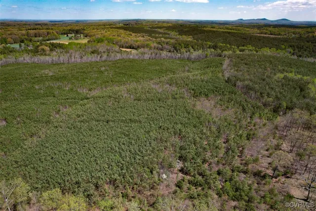 a view of a yard with large trees