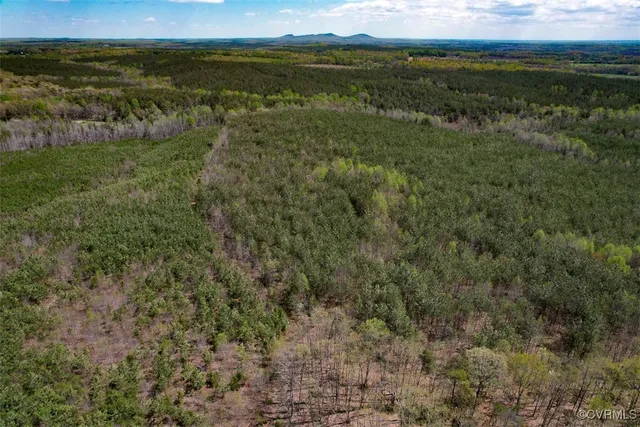 a view of a backyard of the house