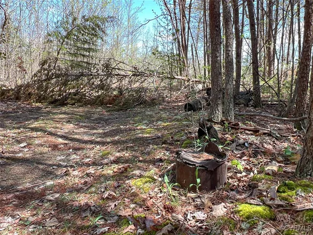 a close up of a shower curtain