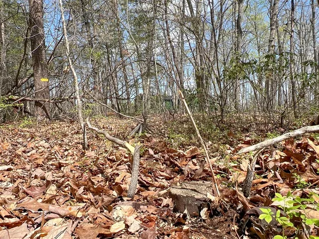 $299,900 | 116.32-acres Gilliam Mill Road, Dillwyn, VA 23936