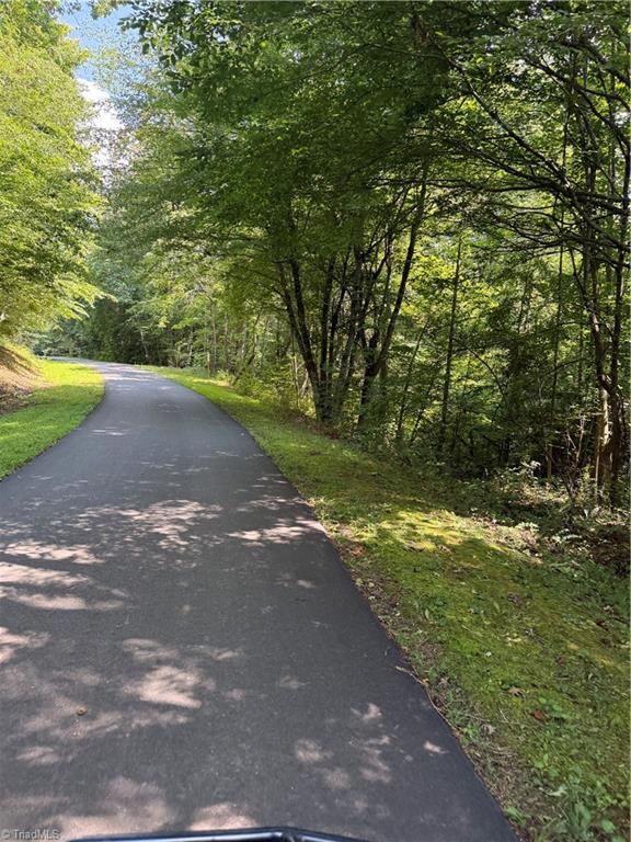 0 Cabin Cove Road Moravian Falls, NC 28654 - Photo 2 of 10