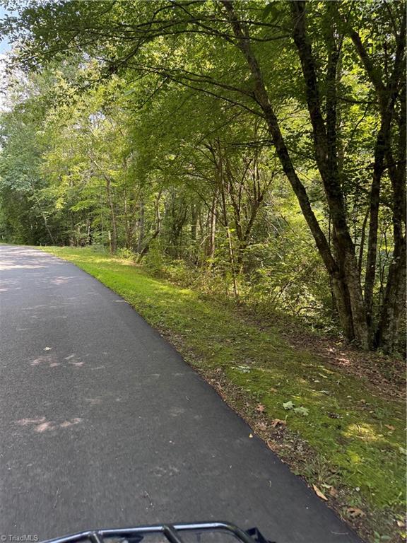 0 Cabin Cove Road Moravian Falls, NC 28654 - Photo 3 of 10