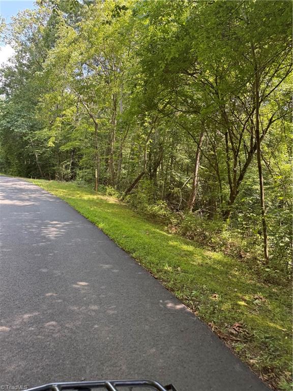 0 Cabin Cove Road Moravian Falls, NC 28654 - Photo 4 of 10