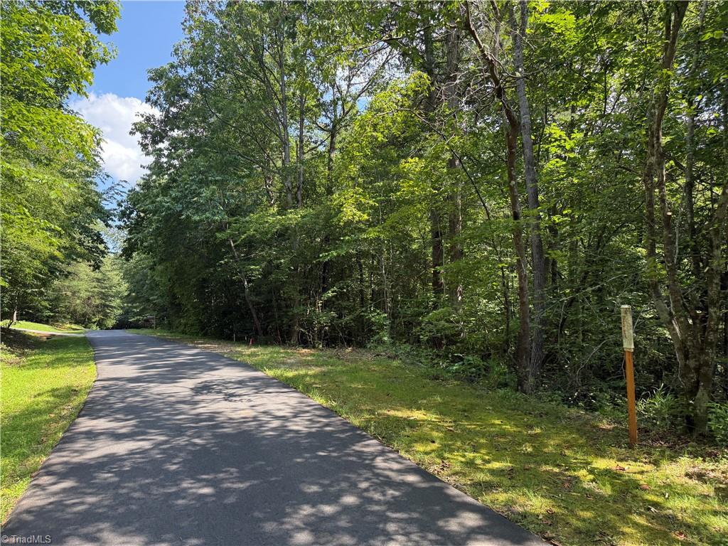 0 Cabin Cove Road Moravian Falls, NC 28654 - Photo 5 of 10