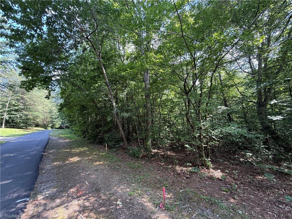 0 Cabin Cove Road Moravian Falls, NC 28654 - Photo 6 of 10