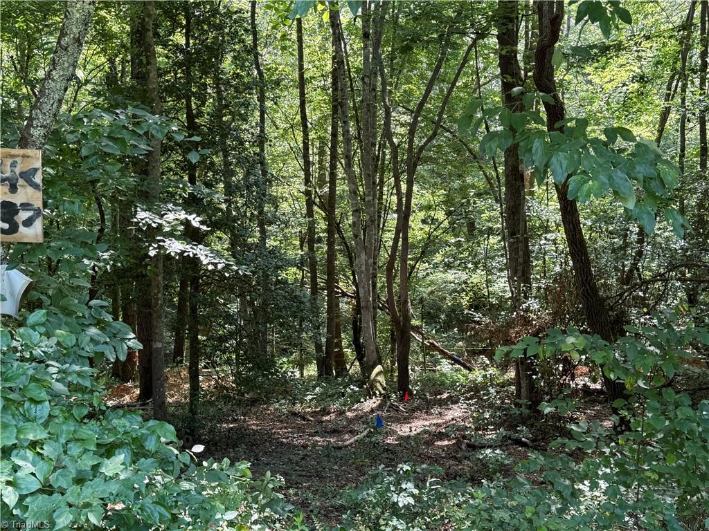 0 Cabin Cove Road Moravian Falls, NC 28654 - Photo 7 of 10