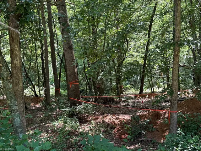 $65,000 | 0 Cabin Cove Road, Moravian Falls, NC 28654