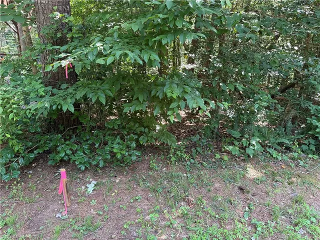 $65,000 | 0 Cabin Cove Road, Moravian Falls, NC 28654