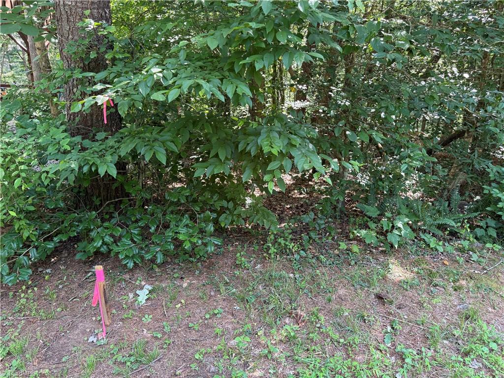 0 Cabin Cove Road Moravian Falls, NC 28654 - Photo 10 of 10