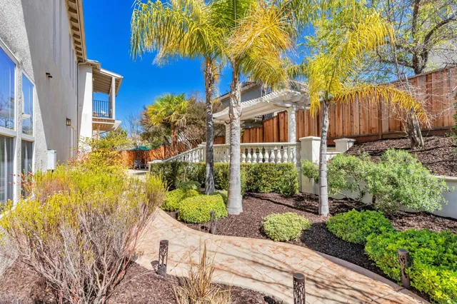 a picture of a flower in a garden