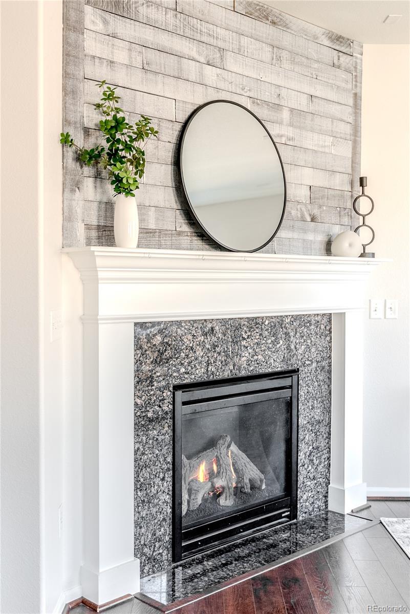 602 Mathews Way Erie, CO 80516 - Photo 4 of 50 a closeup of a fireplace with a potted plant