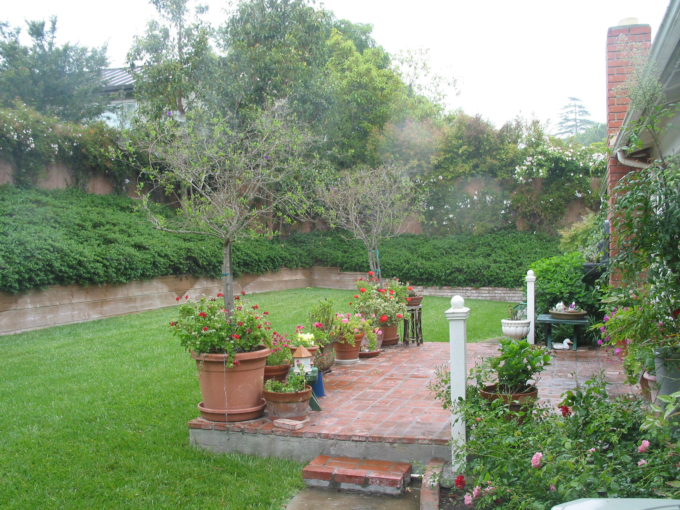 683 Westmont Road Santa Barbara, CA 93108 - Photo 4 of 6 Back Yard and Patio