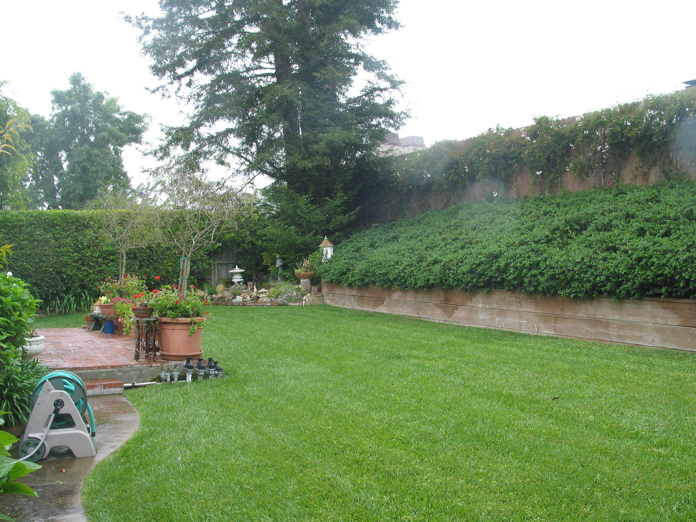 683 Westmont Road Santa Barbara, CA 93108 - Photo 6 of 6 Back Yard