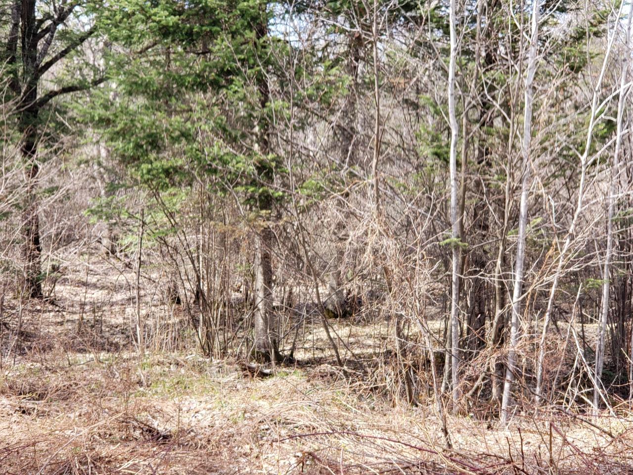 Near Winter Road Tomahawk, WI 54487 - Photo 21 of 29 Gallery Image 21