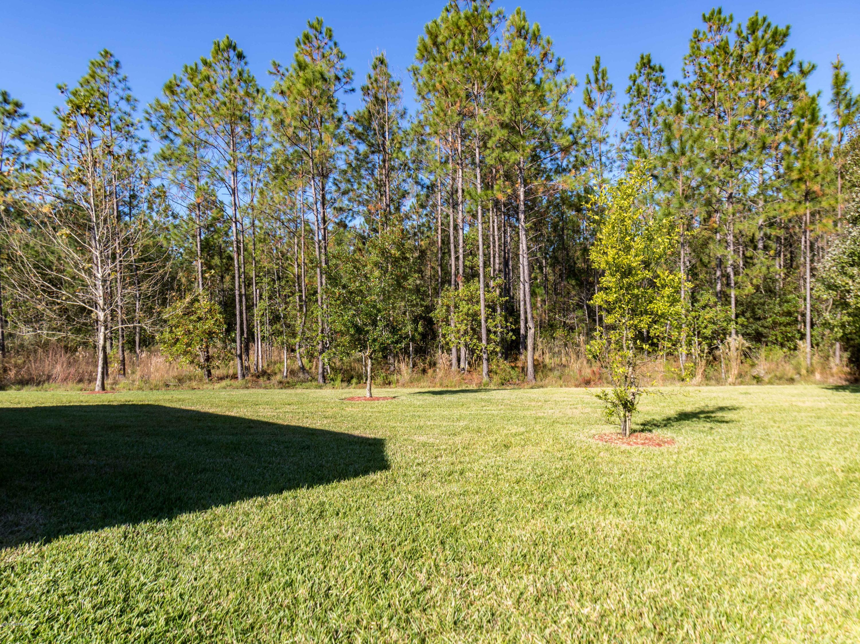 23 Sunlight Way St. Augustine, FL 32092 - Photo 47 of 49 Back Yard View 2