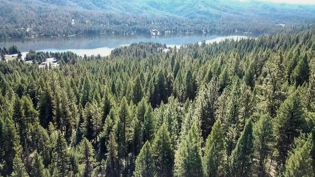 $342,335 | 1-2 Horsethief Road, Cascade, ID 83611