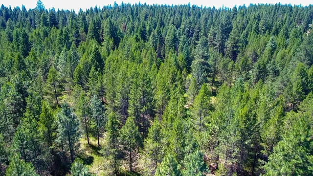 $342,335 | 1-2 Horsethief Road, Cascade, ID 83611