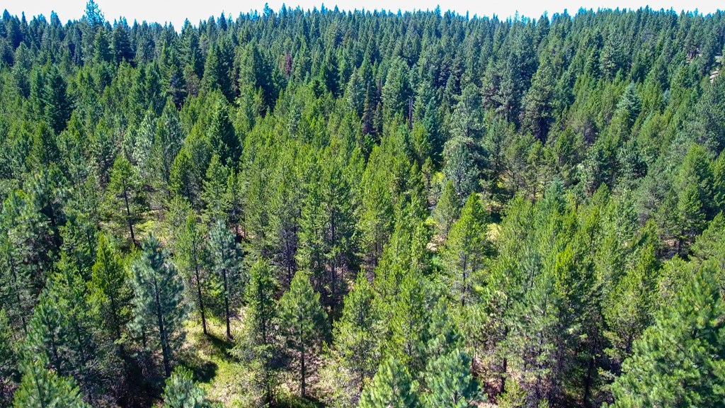 1-2 Horsethief Road Cascade, ID 83611 - Photo 8 of 9