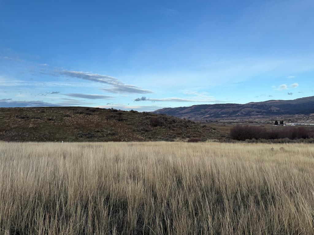 55-acres Deer Loop Council, ID 83612 - Photo 9 of 10